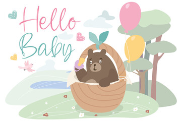 Hello baby concept background. Cute bear cub boy or girl holding pacifier and sitting in basket with balloons. Newborn kid greeting, baby shower holiday. Vector illustration in flat cartoon design