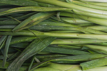 Fresh green leek stalks, soft selective focus. Background with bow