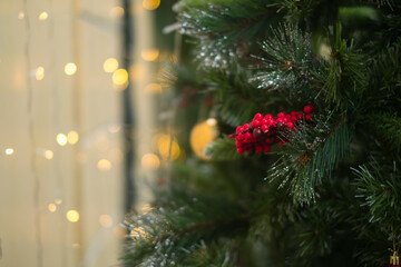 Close up photo of red berries on a christmas tree. New year, christmas time, decoration, selective focus. High quality photo