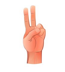 Palm of hand raised up with two finger. Object isolated on white background. Funny cartoon style. Vector