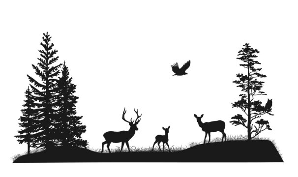 Set of silhouettes of trees and wild forest animals. Deer, fawn, doe, owl, bird of pray. Black and white hand drawn illustration. 