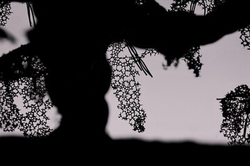 Pretend trees in fog.