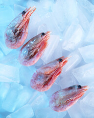 shrimps on the background of ice cubes with blue lighting