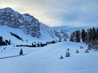 Fototapeta na wymiar Winter ambience and beautiful idyllic atmosphere on the snow-capped Alpine mountain Alpstein in the Appenzell Alps massif - Switzerland (Schweiz)