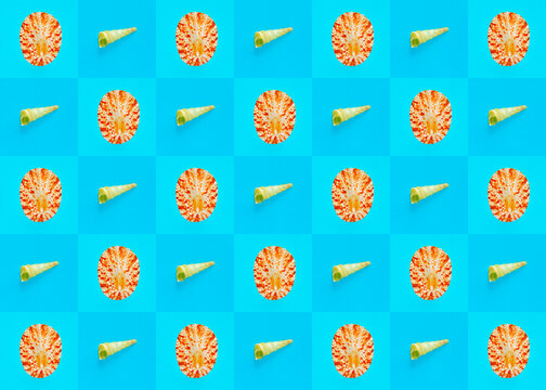 Flat Lay wallpaper background image of coastal seashells on a checkered background