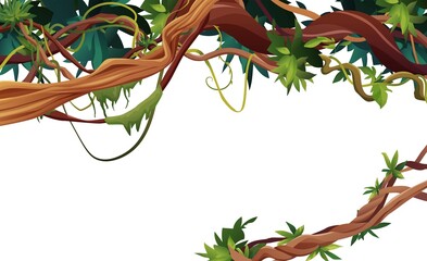 Liana or vine winding branches cartoon vector illustration. Jungle tropical climbing plants. © Дарья Михайлова
