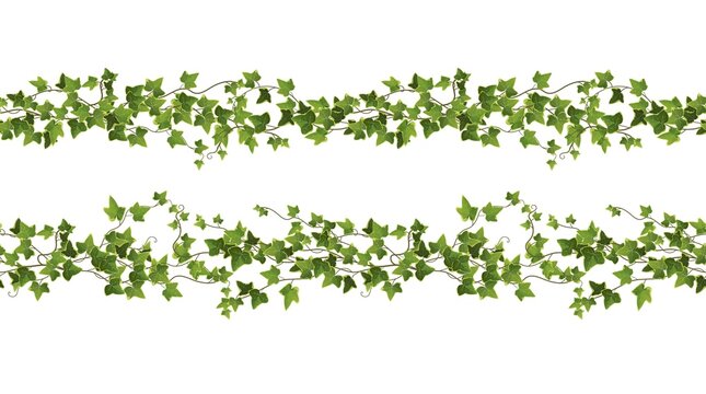 Seamless Ivy plant branch cartoon vector illustration. limbing vine.