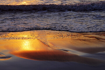 golden reflections on the shore