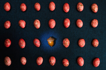 one acorn among red candies rows on a blue glitter cardboard background, top view