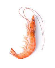 One shrimp on white background.