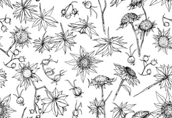 Patrón vectorizado de flores de línea negras sobre fondo blanco, flores secas, ilustración de línea en blanco y negro