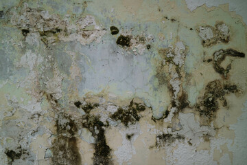 Textured dirty rough cement concrete background. Grunge wall for pattern and background.