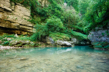 River in forest with foliage and rocks.