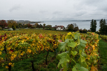 Bodensee
