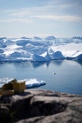 iceberg in polar regions