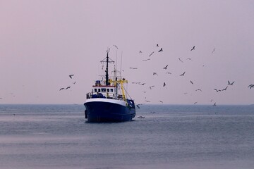 fishing boat in the sea, a flock of seagulls flies around it in search of fresh fish