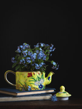 Spring flowers forget me nots in a yellow tea pot on a blue books. Dark mood still life with a copy space