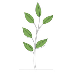 Fototapeta premium plant outline in one line, vector