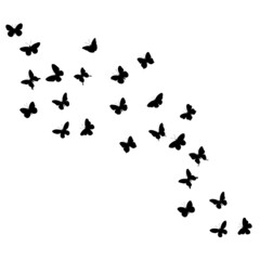 flying butterflies silhouette ,on white background, vector