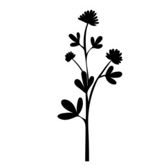 flower, plant silhouette ,white background