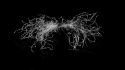 One white goose down material