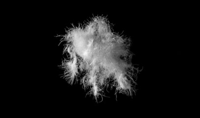 A ball of white duck down raw material on a black background