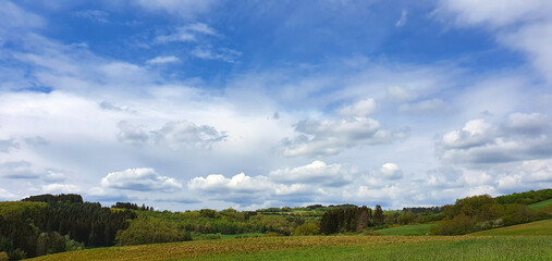 Green meadow under blue sky with white clouds