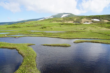 月山弥陀ヶ原から月山頂上を望む