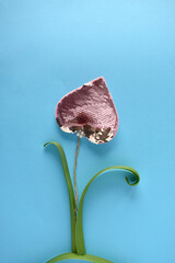 unusual flower made from a pink heart on a blue background