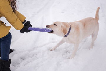 Child playing with a dog