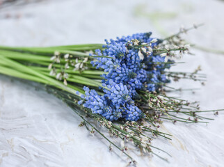 Blumenstrauss mit Traubenhyazinthen und Ginster, Frühling Dekoration