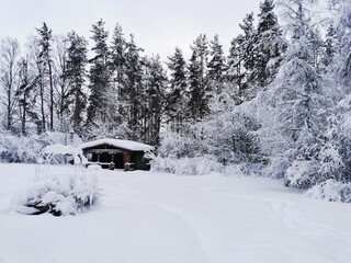 A one-storey wooden house - a bathhouse made of a round dark-colored log in the snow among snow-covered trees.