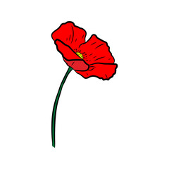 Poppy flower. Hand drawn vector illustration in line art style, isolated on a white background.
