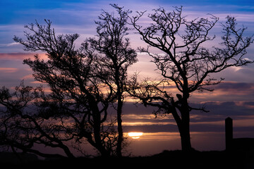 Fototapeta na wymiar Sunset Through The Silhouette Of Trees On The Black Mountain, Belfast