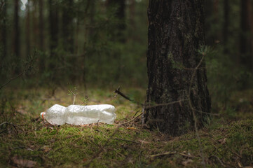 Plastikowa, przeźroczysta butelka typu pet porzucona w sosnowym lesie.