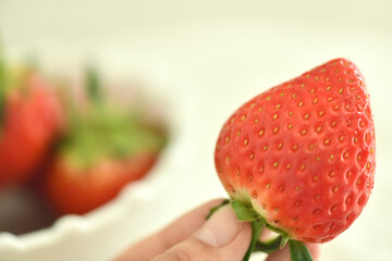 strawberry food red organic fruit fresh sweet
