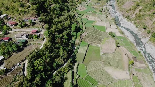 Wide Aerial Bird's eye approach paddies farms river forest in mountainous region different shades of green brown red roof tops Kabayan Benguet Philippines