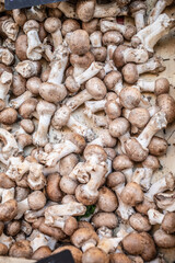 organic fresh baby bella mushrooms on the market 