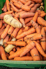 organic fresh orange carrots in the box 