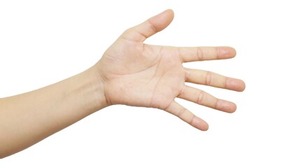 hand isolated on white