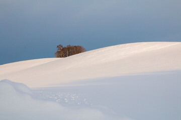 Winter morning full of sunlight.