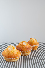 Two small chocolate chip muffins