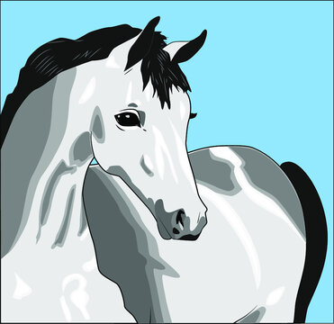 White horse on blue background, vector illustration