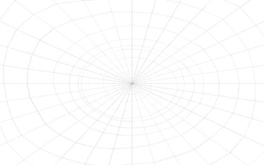 Toile d’araignée, fond blanc 