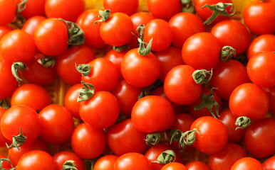 Red tomatoes with stalks close-up