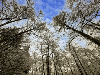 Winter with lots of snow in Bavaria is beautiful again every year