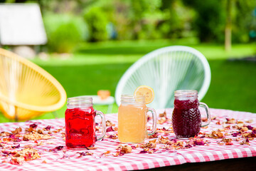 Summer drinks in the garden - 486490781