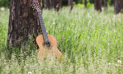 guitar on the grass