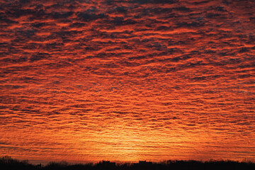 Very beautiful red sunset over trees and houses