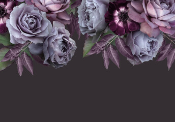 Floral banner, header with copy space. Purple roses and anemone isolated on dark grey background. Natural flowers wallpaper or greeting card.